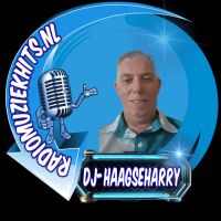 Dj-Haagseharry